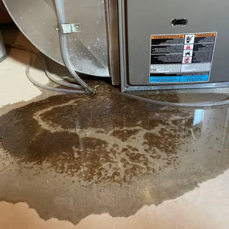 Pipe Burst and Leak Restoration in West Bridgewater, MA